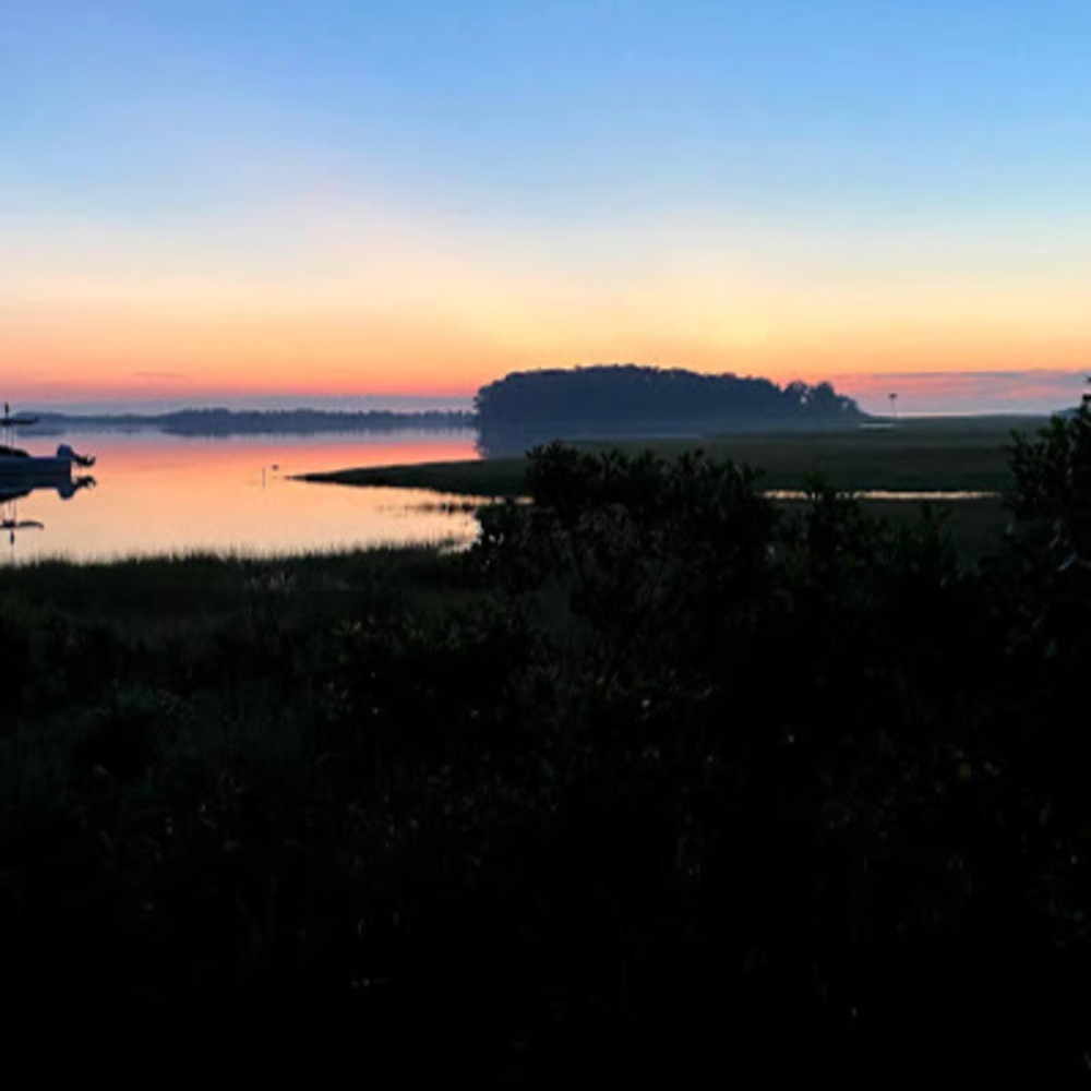 Meet your Posher, Arianna